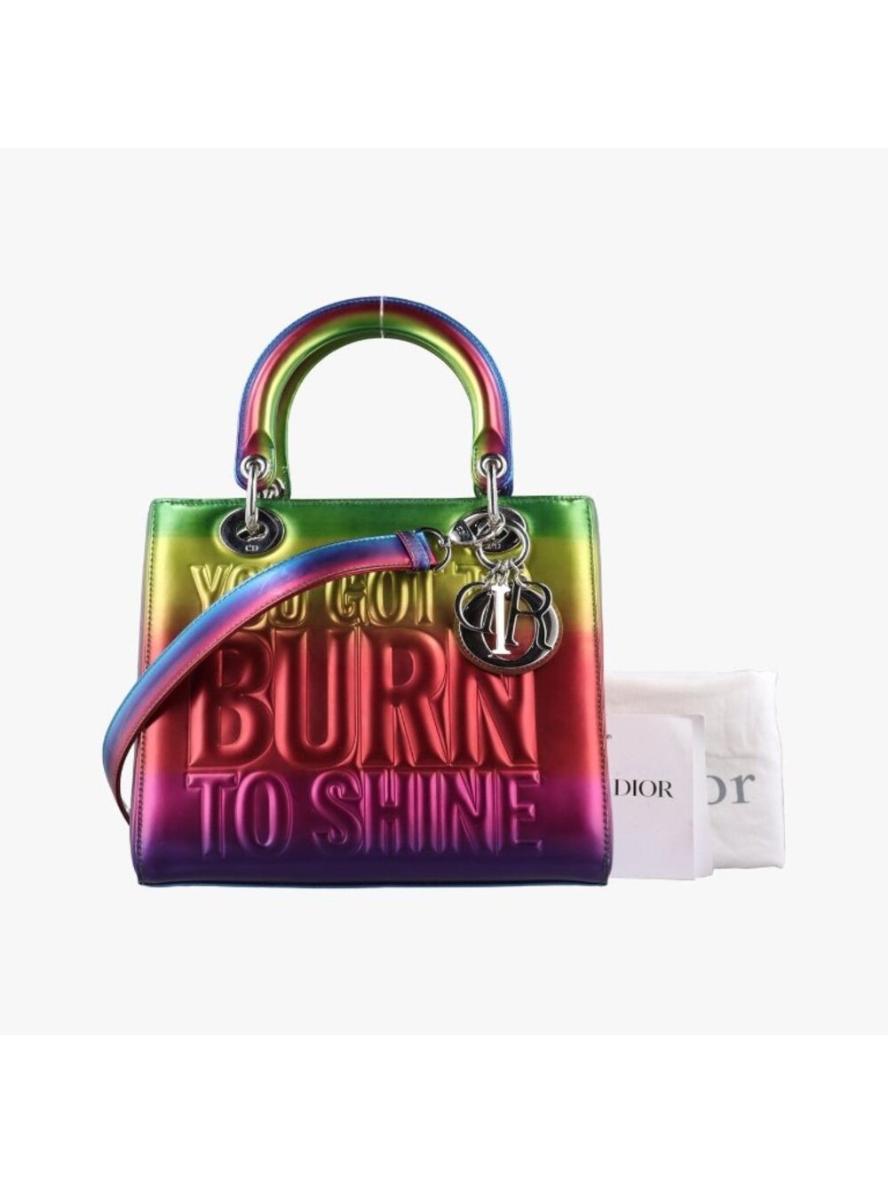Dior Lady Multicolor Leather Handbag